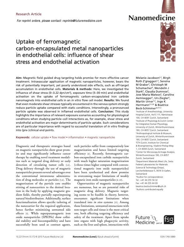 Uptake of ferromagnetic carbon-encapsulated metal nanoparticles in endothelial cells: Influence of shear stress and endothelial activation