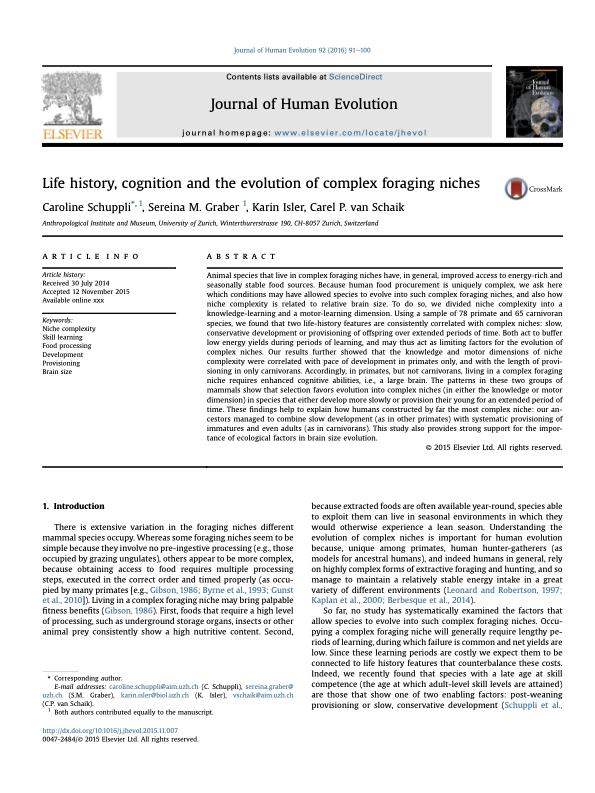Life history, cognition and the evolution of complex foraging niches
