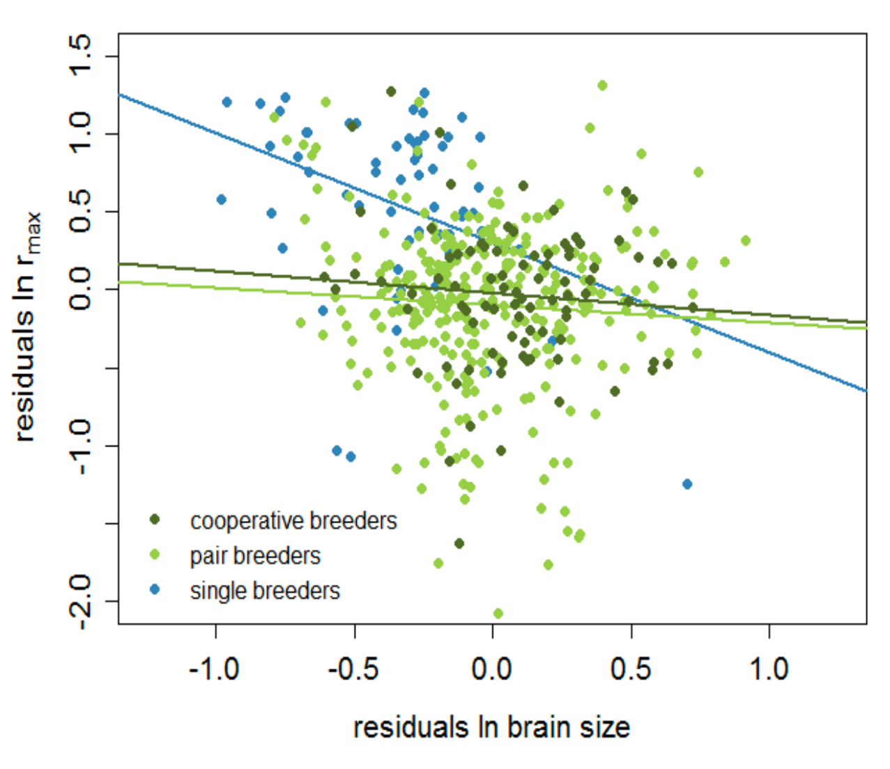 Cooperative breeding and hominin brain size evolution - Evidence from a comparative study in birds