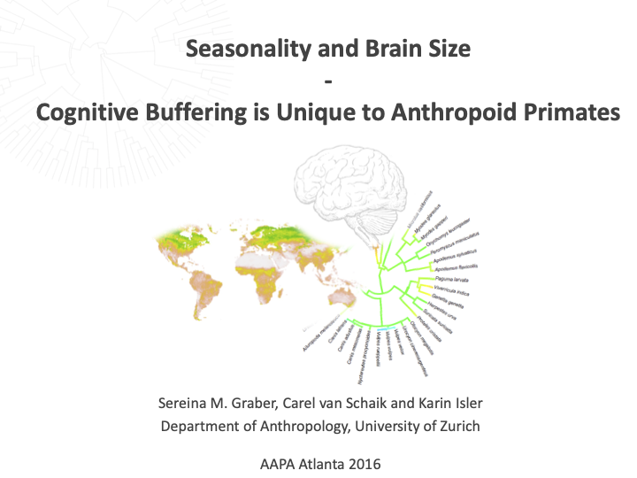 Seasonality and Brain Size - Cognitive Buffering is Unique to Anthropoid Primates