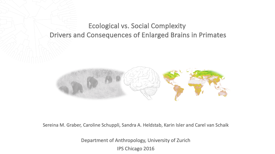 Ecological vs. Social Complexity - Drivers and Consequences of Enlarged Brains in Primates